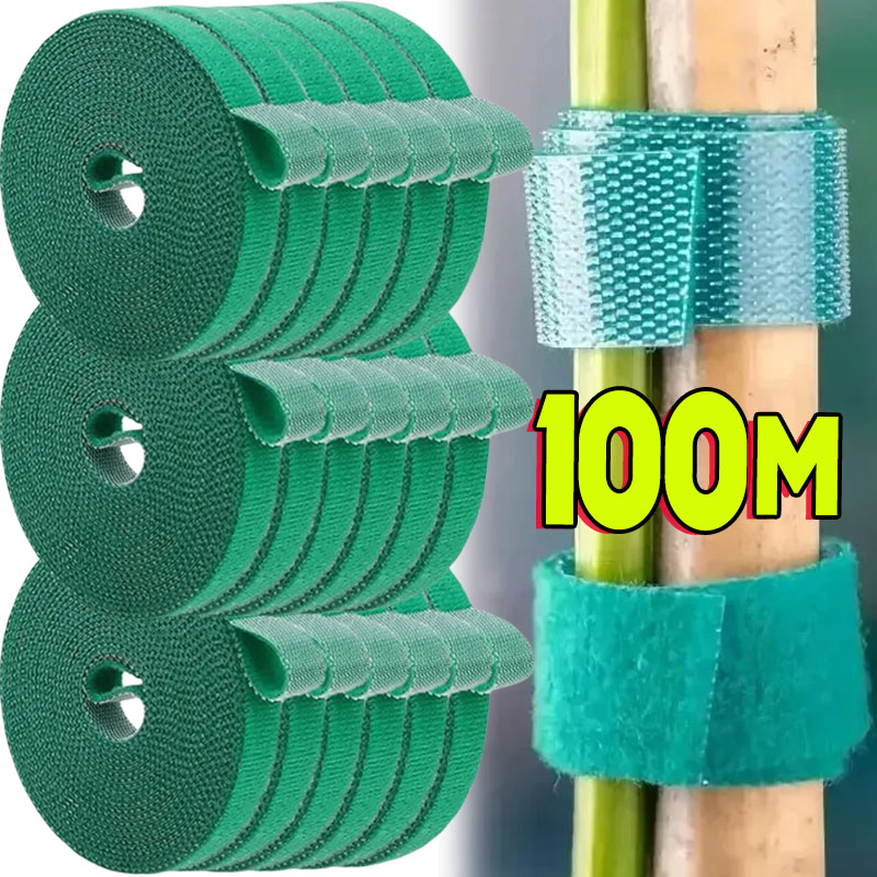 Gear Tie Reusable - 1/100M 조정 가능한 자체 접착 식물